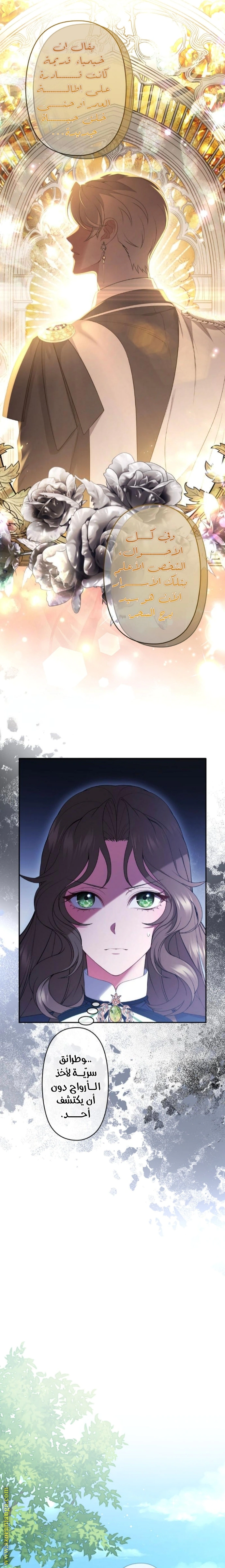 Read The Brunette’s Reaper AR Manga Online
