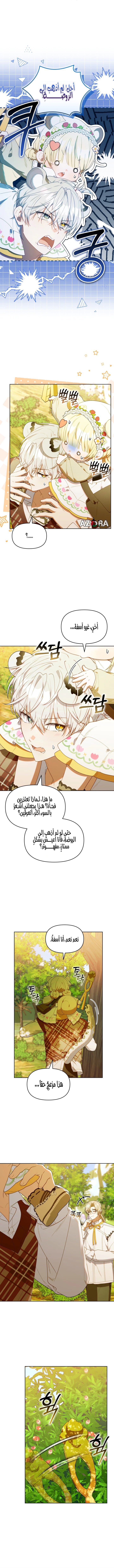 Read The Chick Class Hunter is Busy Being Dutiful! AR Manga Online