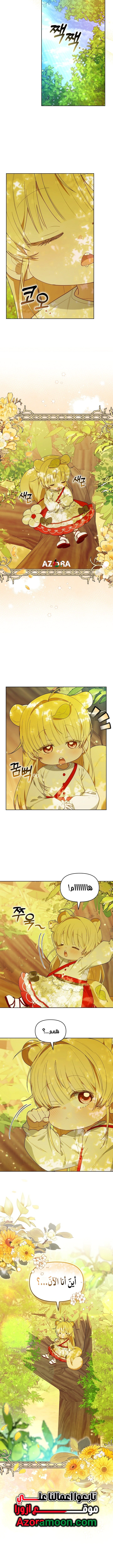 Read The Chick Class Hunter is Busy Being Dutiful! AR Manga Online