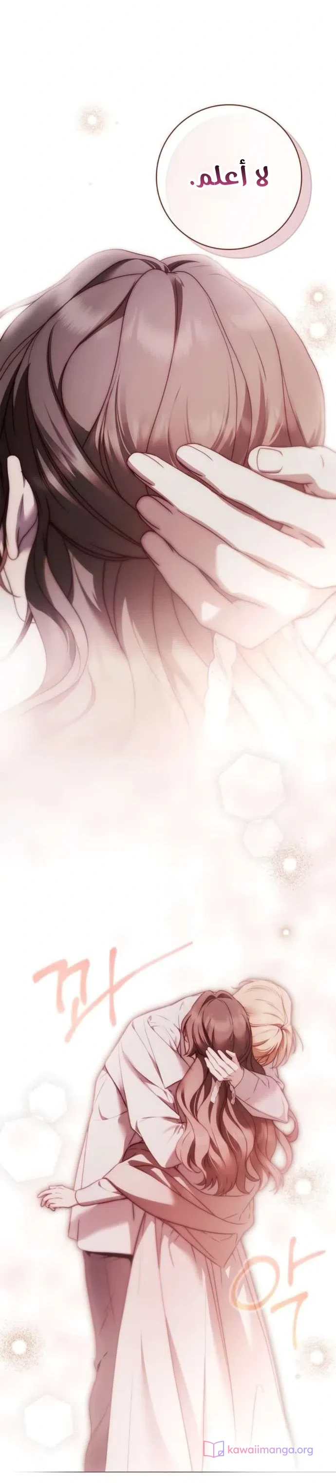 Read The Count's Secret Maid AR Manga Online