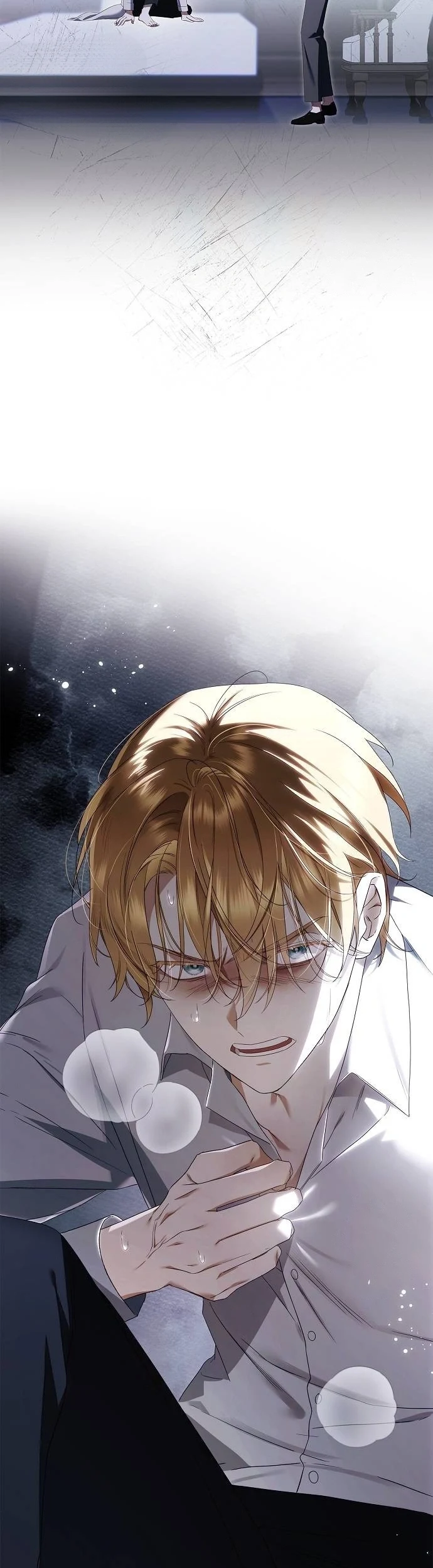Read The Count's Secret Maid AR Manga Online