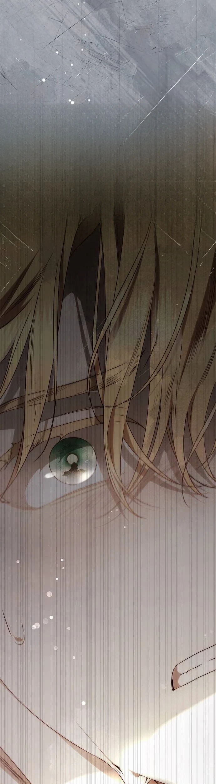 Read The Count's Secret Maid AR Manga Online