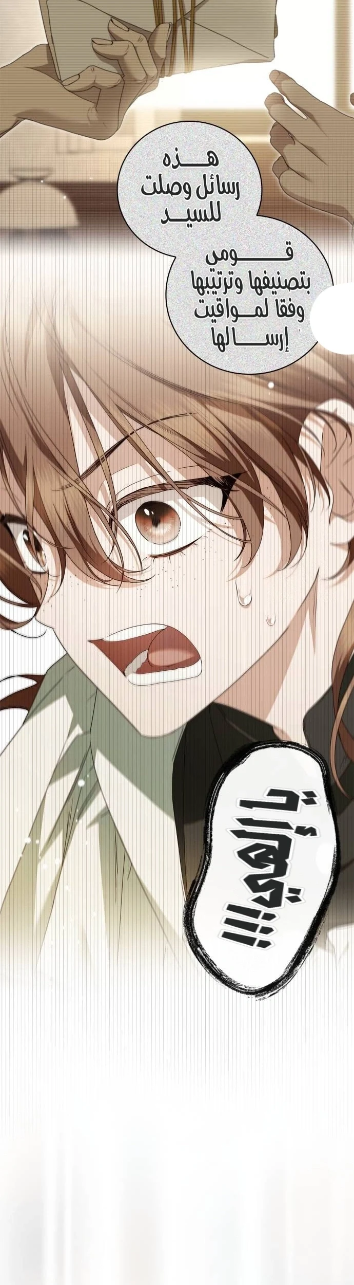 Read The Count's Secret Maid AR Manga Online