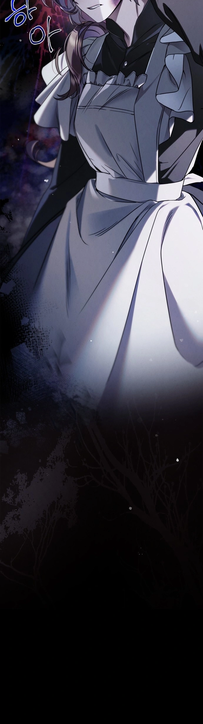 Read The Count's Secret Maid AR Manga Online