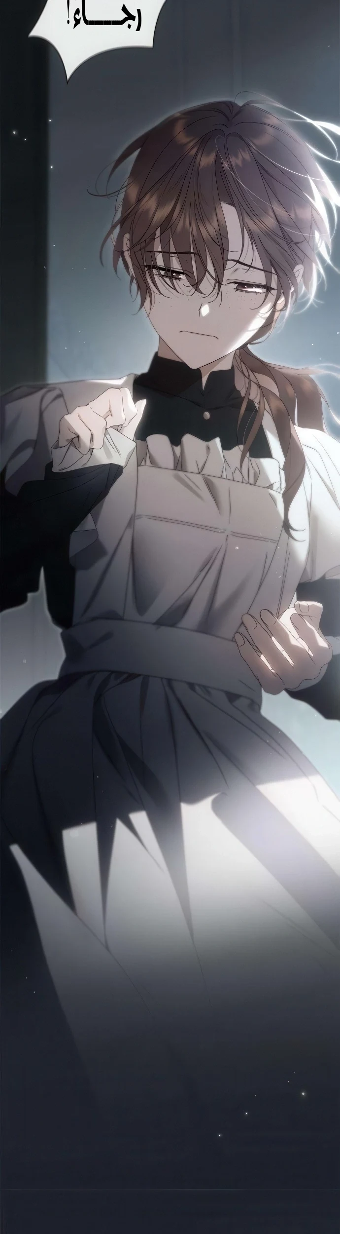 Read The Count's Secret Maid AR Manga Online