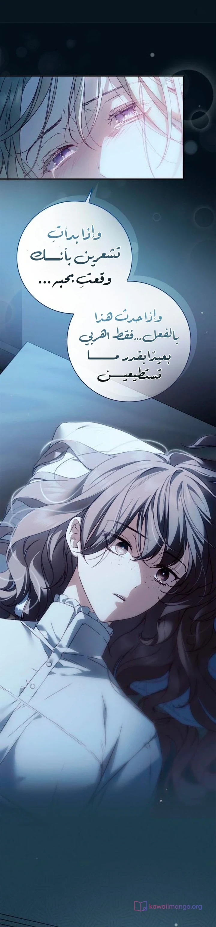 Read The Count's Secret Maid AR Manga Online