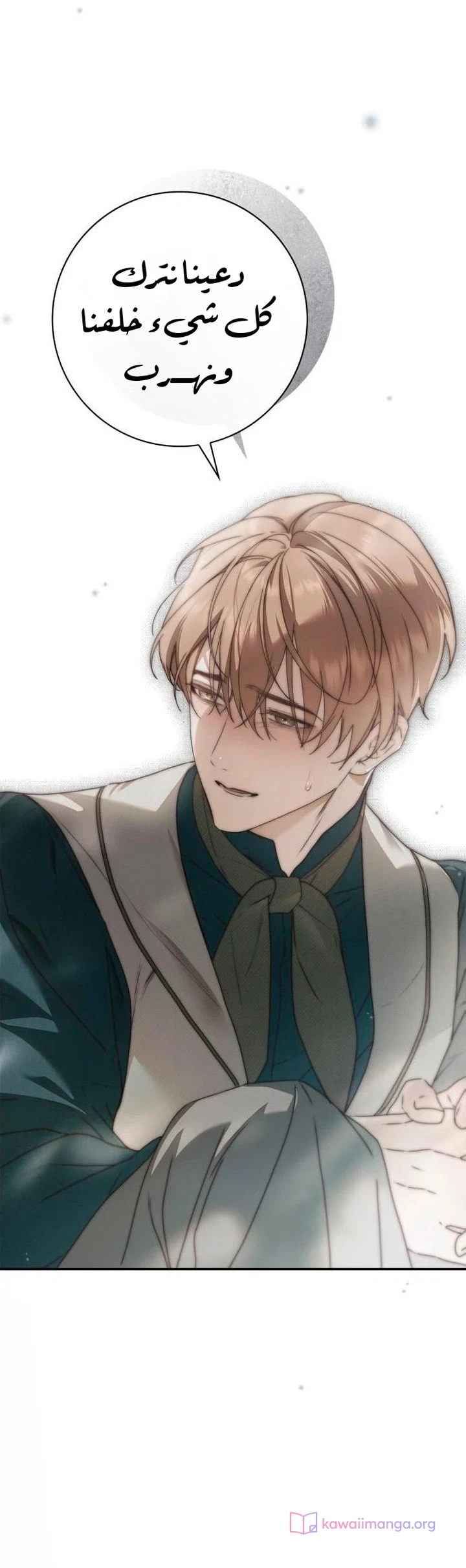 Read The Count's Secret Maid AR Manga Online