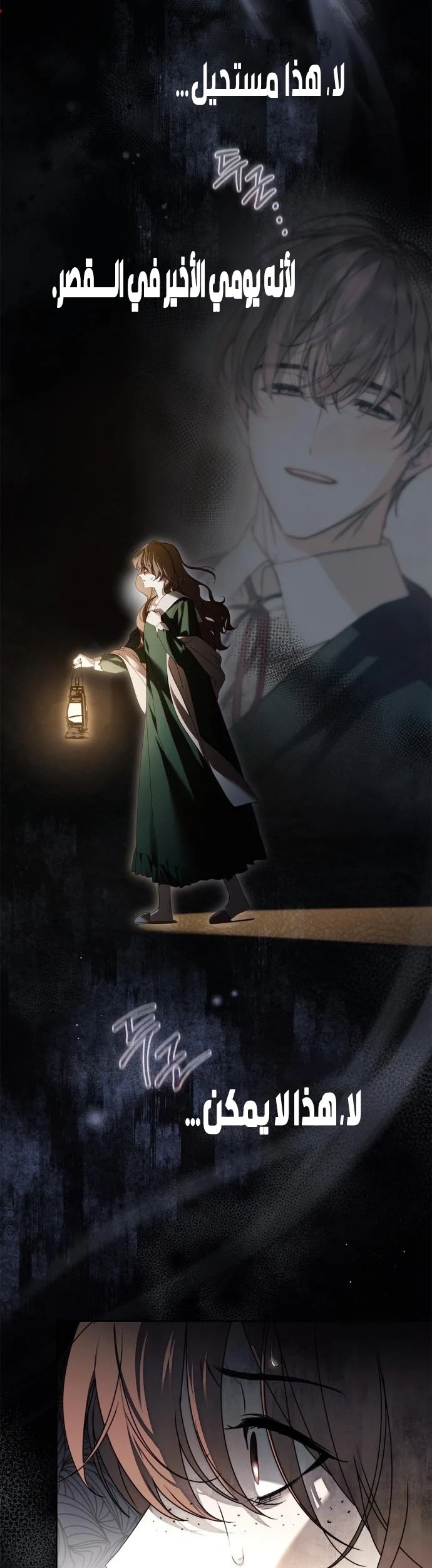 Read The Count's Secret Maid AR Manga Online
