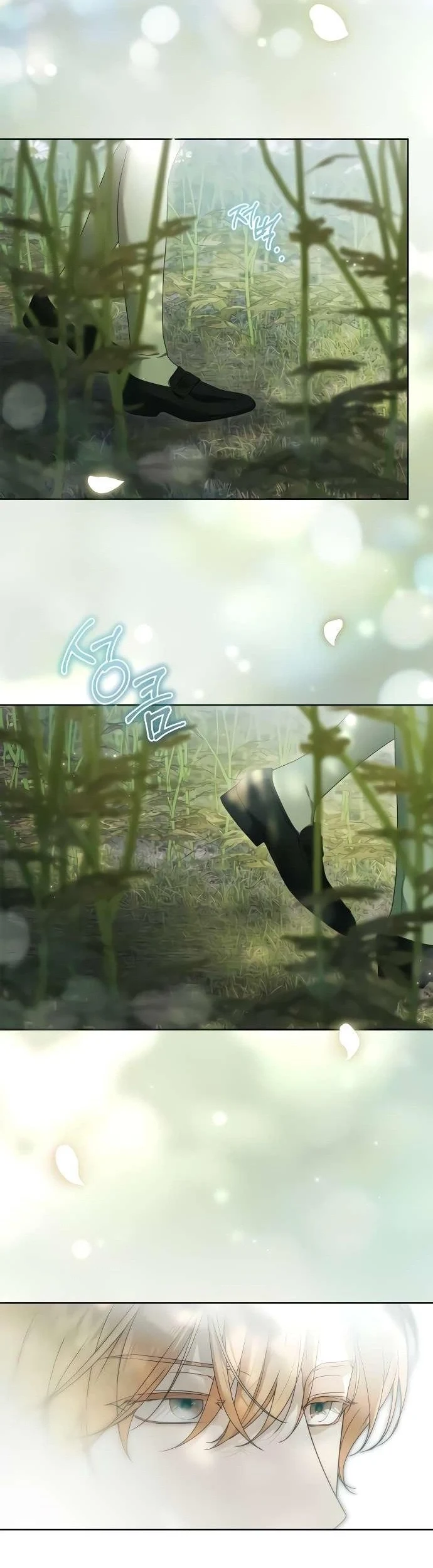 Read The Count's Secret Maid AR Manga Online