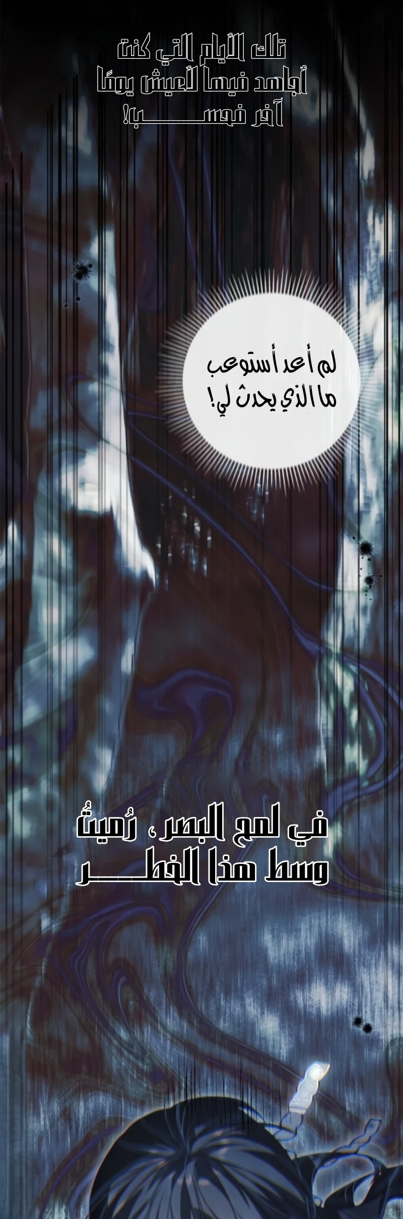 Read The Count's Secret Maid AR Manga Online