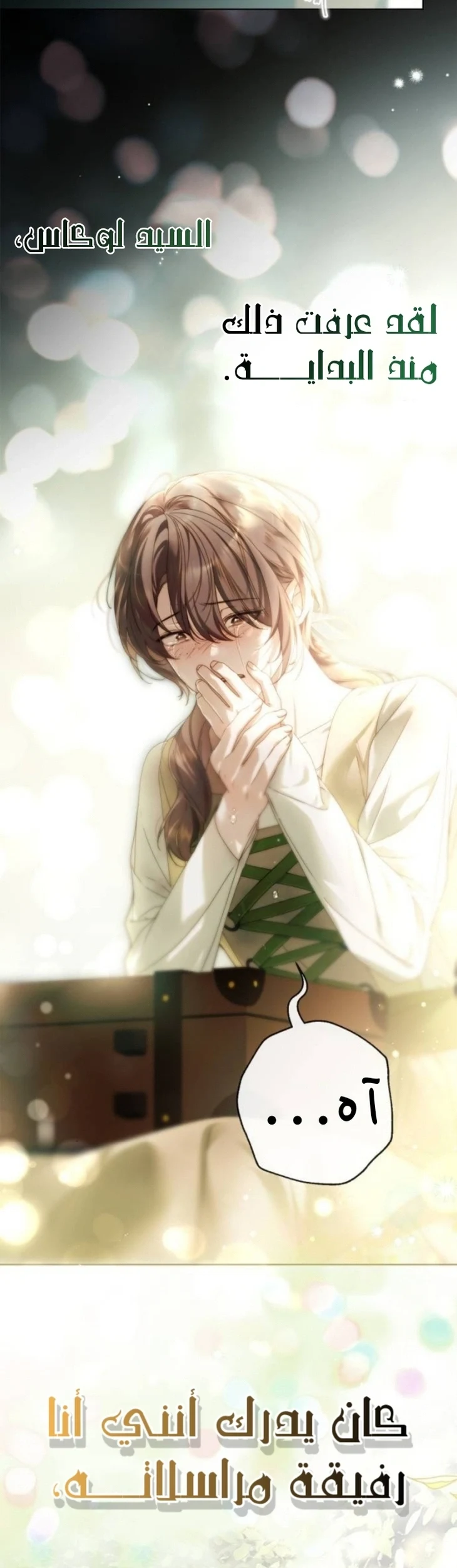 Read The Count's Secret Maid AR Manga Online