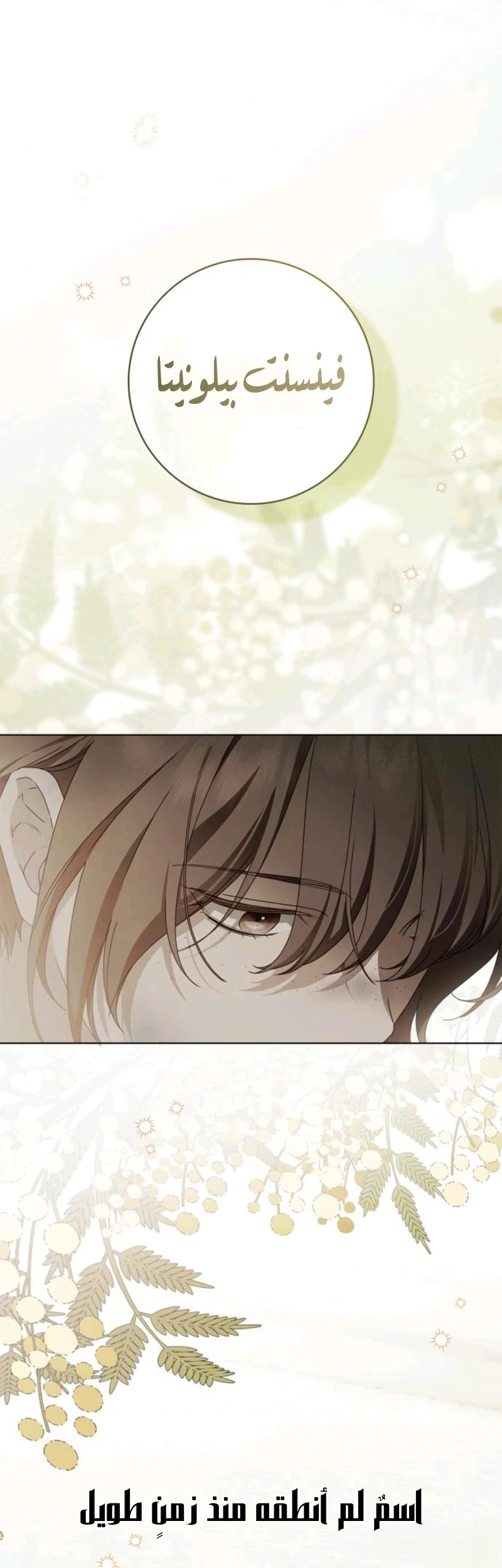 Read The Count's Secret Maid AR Manga Online