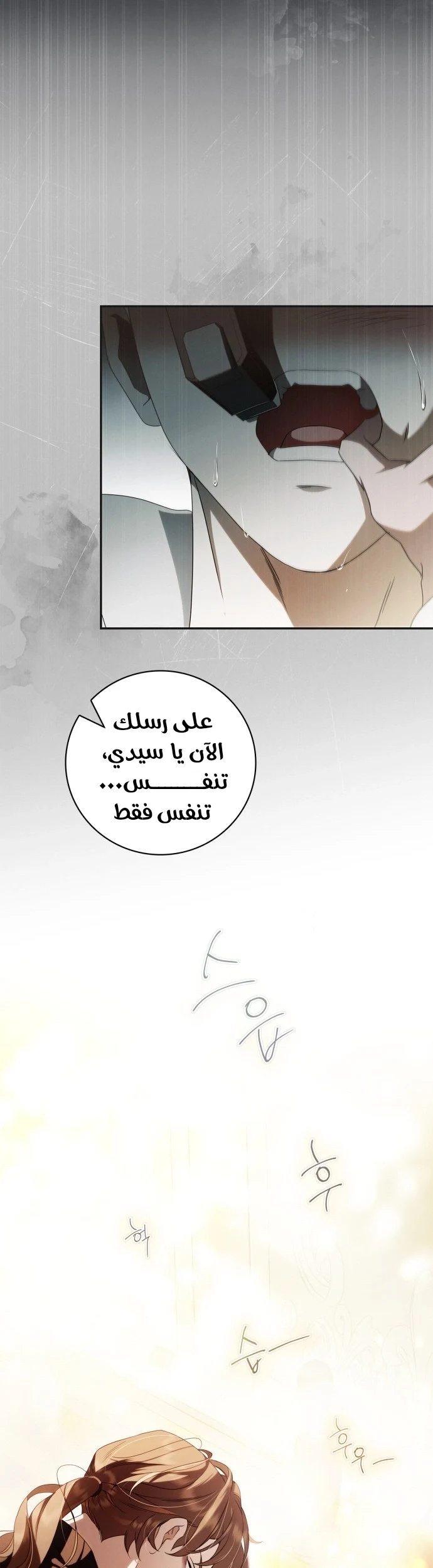 Read The Count's Secret Maid AR Manga Online