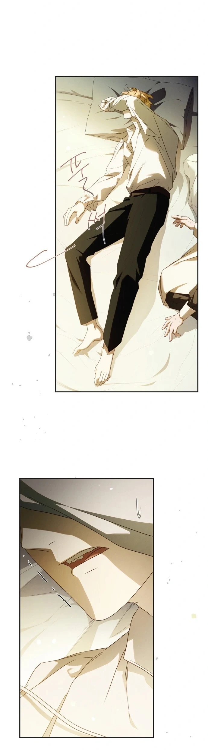 Read The Count's Secret Maid AR Manga Online