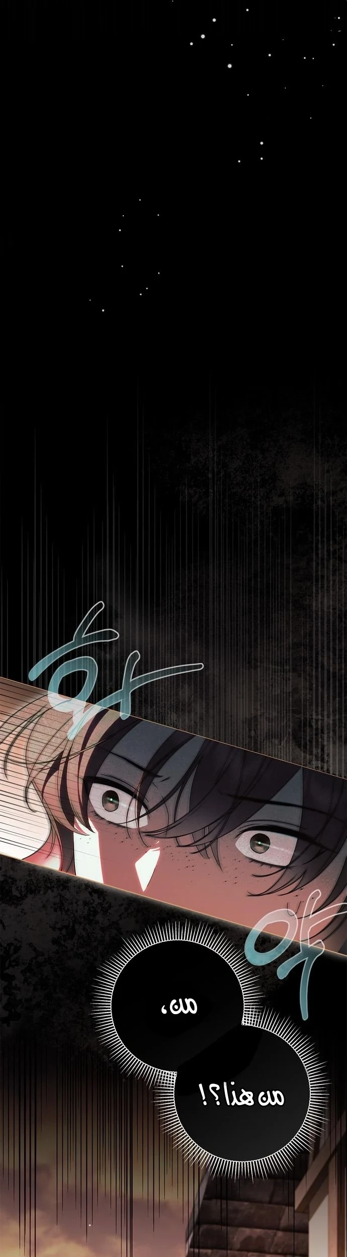 Read The Count's Secret Maid AR Manga Online