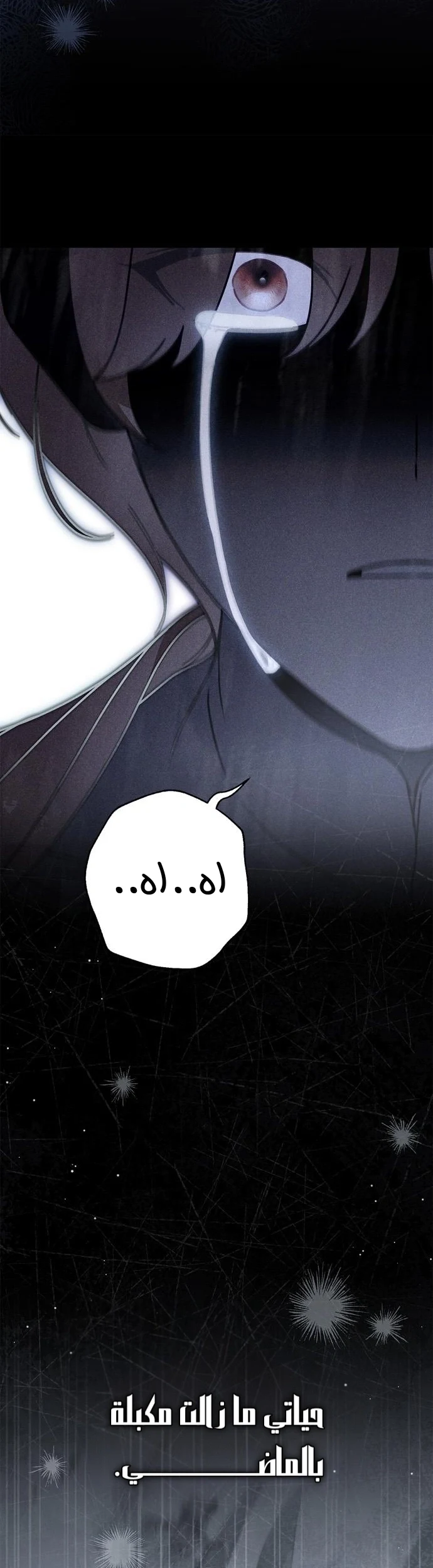 Read The Count's Secret Maid AR Manga Online