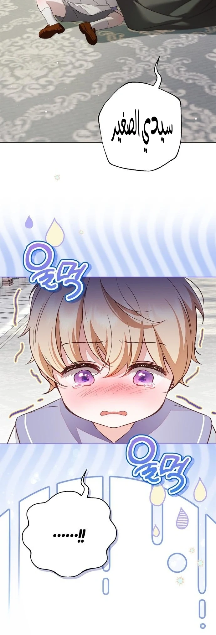 Read The Count's Secret Maid AR Manga Online