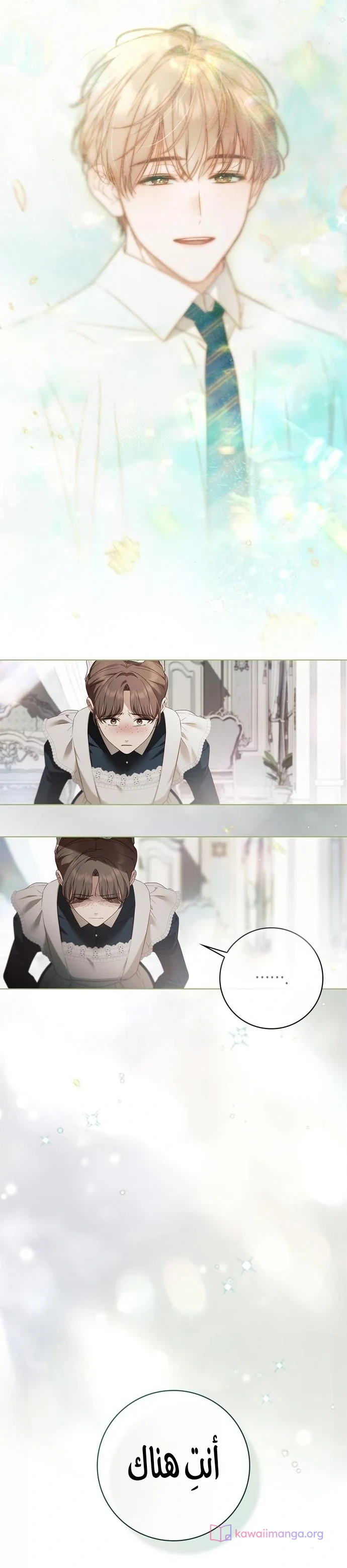 Read The Count's Secret Maid AR Manga Online