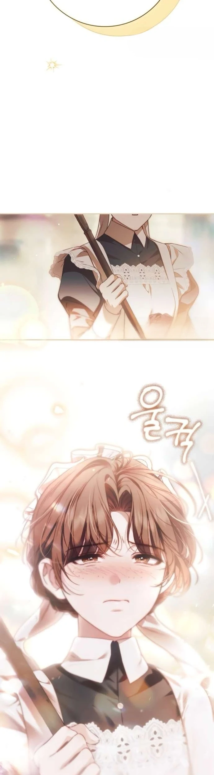 Read The Count's Secret Maid AR Manga Online