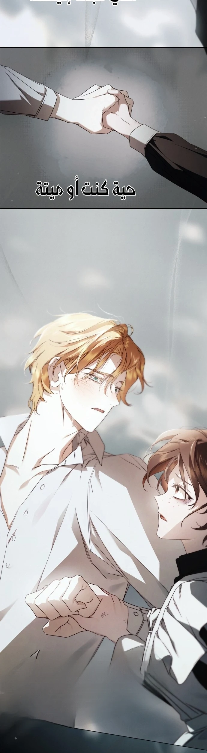 Read The Count's Secret Maid AR Manga Online