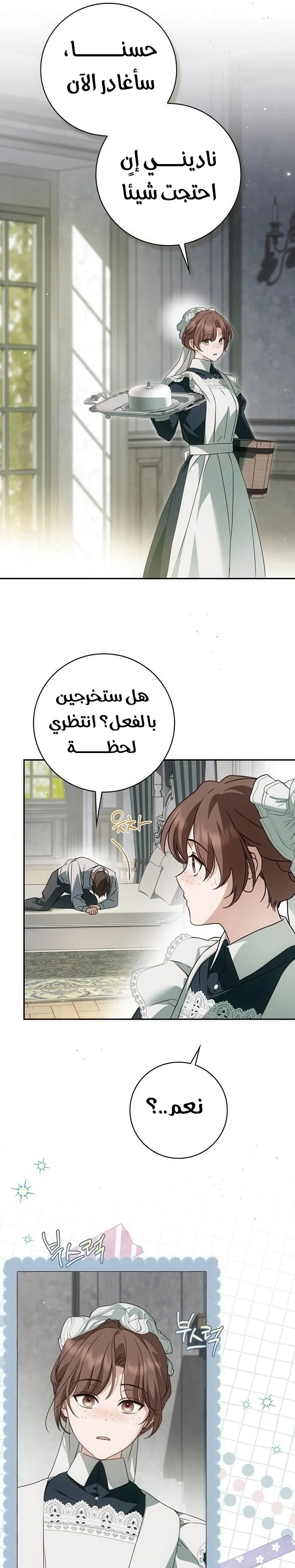 Read The Count's Secret Maid AR Manga Online