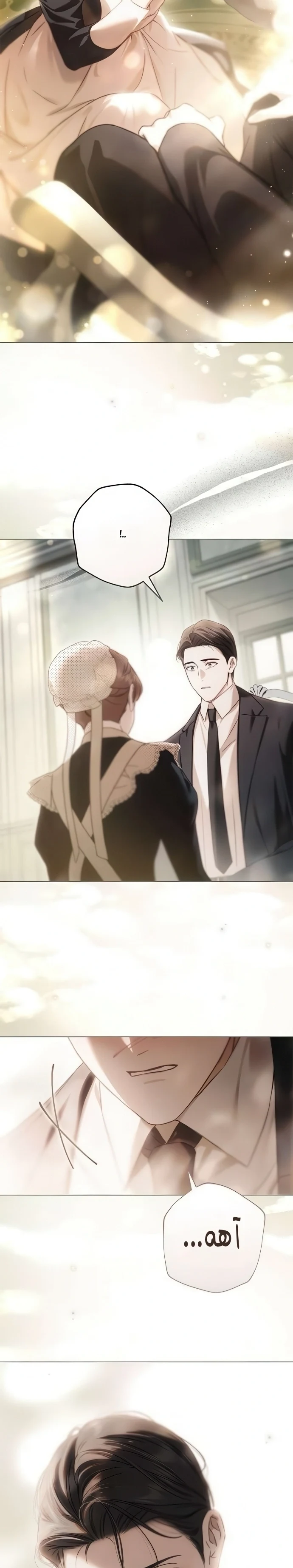Read The Count's Secret Maid AR Manga Online