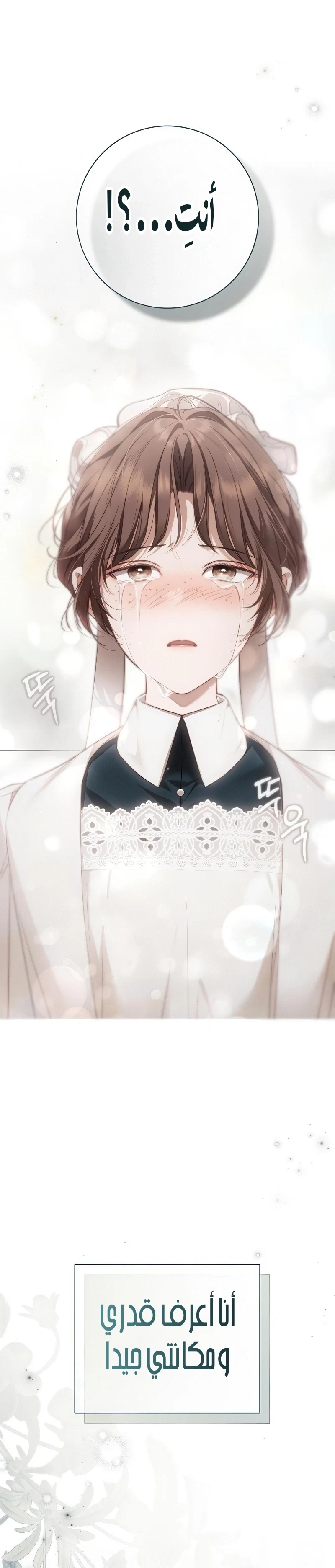 Read The Count's Secret Maid AR Manga Online
