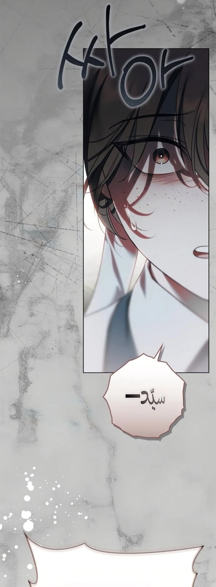 Read The Count's Secret Maid AR Manga Online