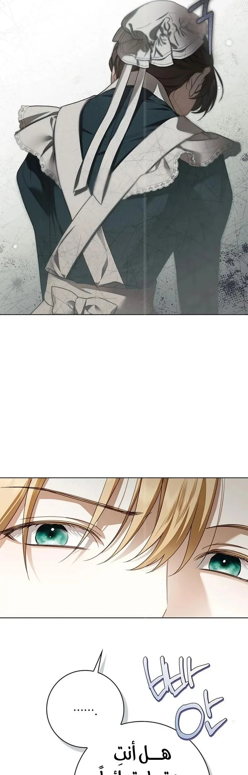 Read The Count's Secret Maid AR Manga Online