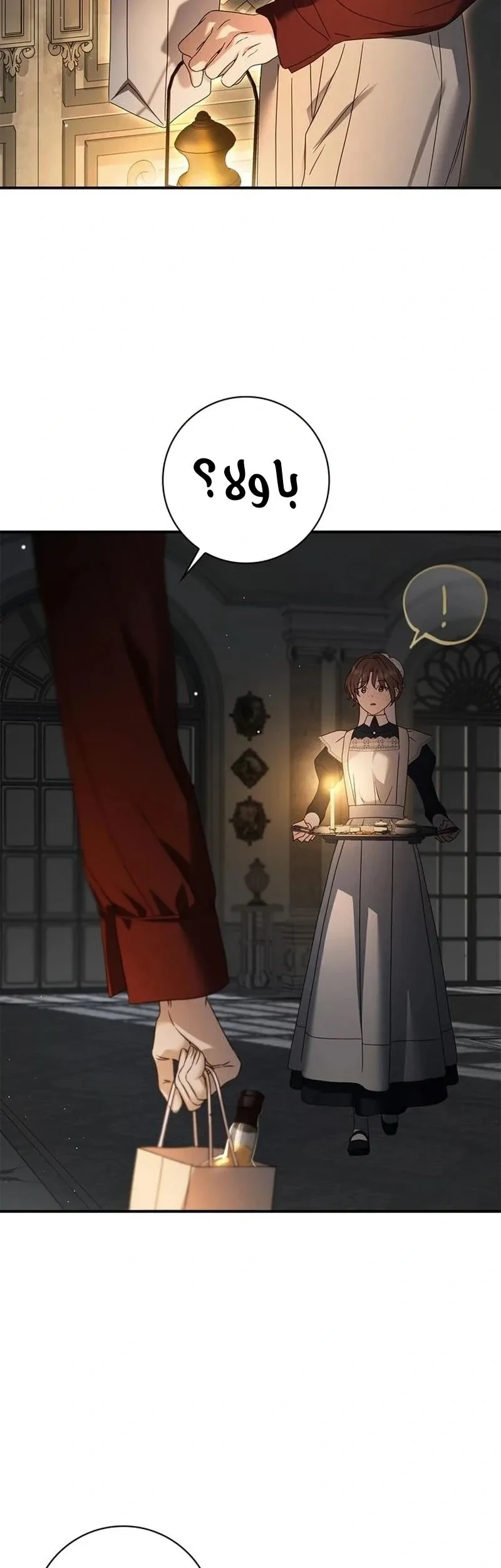 Read The Count's Secret Maid AR Manga Online