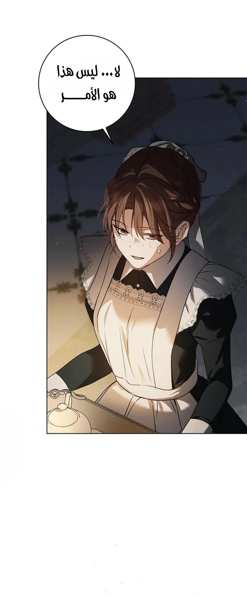 Read The Count's Secret Maid AR Manga Online