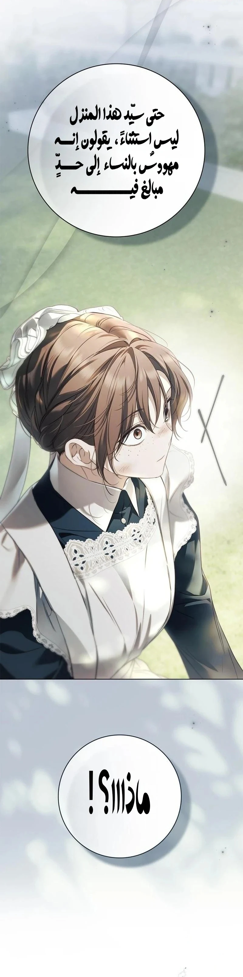 Read The Count's Secret Maid AR Manga Online