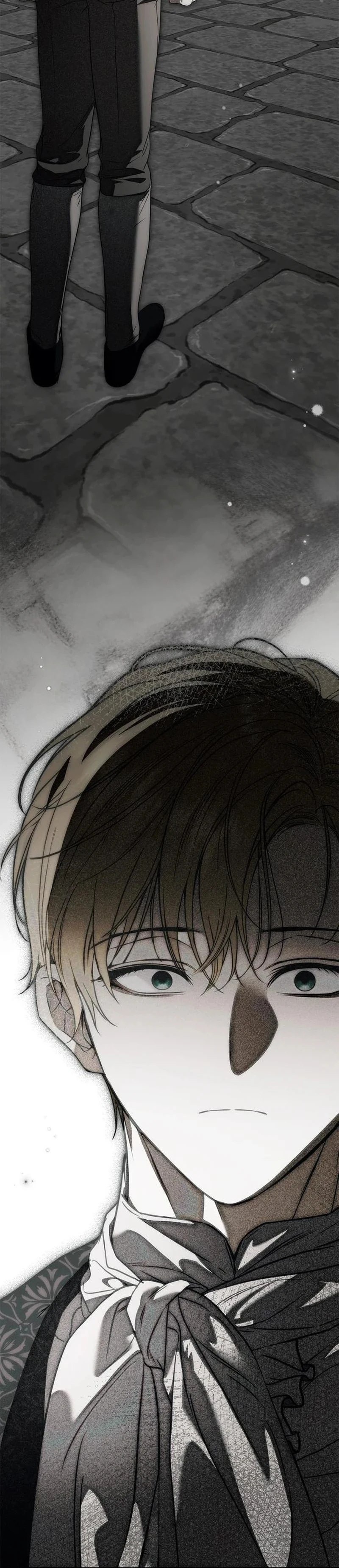 Read The Count's Secret Maid AR Manga Online