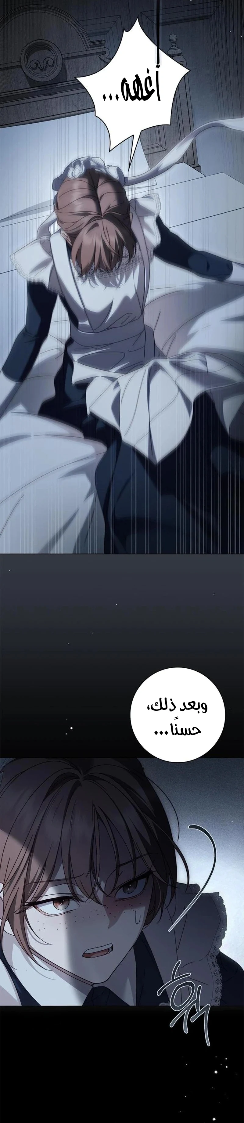 Read The Count's Secret Maid AR Manga Online