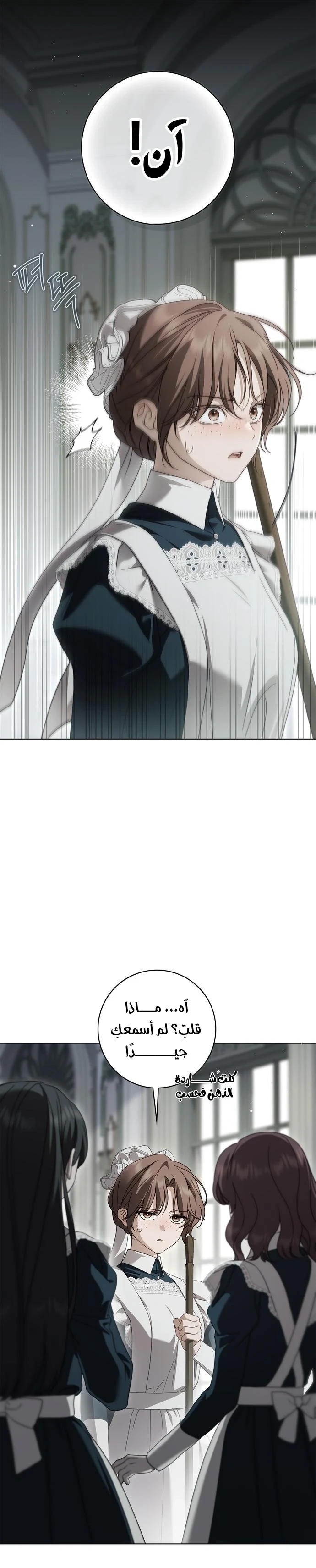 Read The Count's Secret Maid AR Manga Online