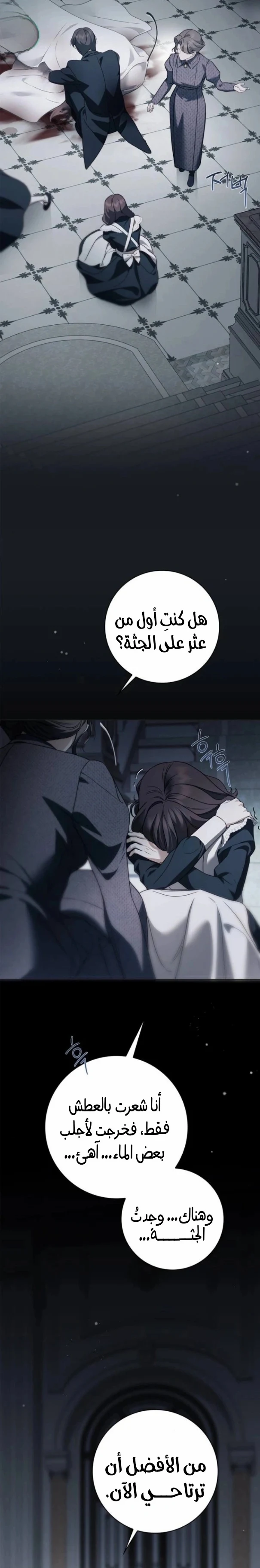 Read The Count's Secret Maid AR Manga Online