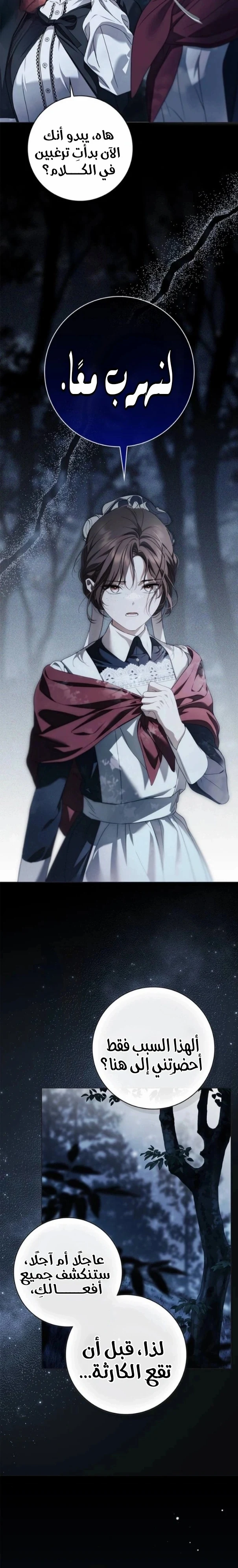Read The Count's Secret Maid AR Manga Online