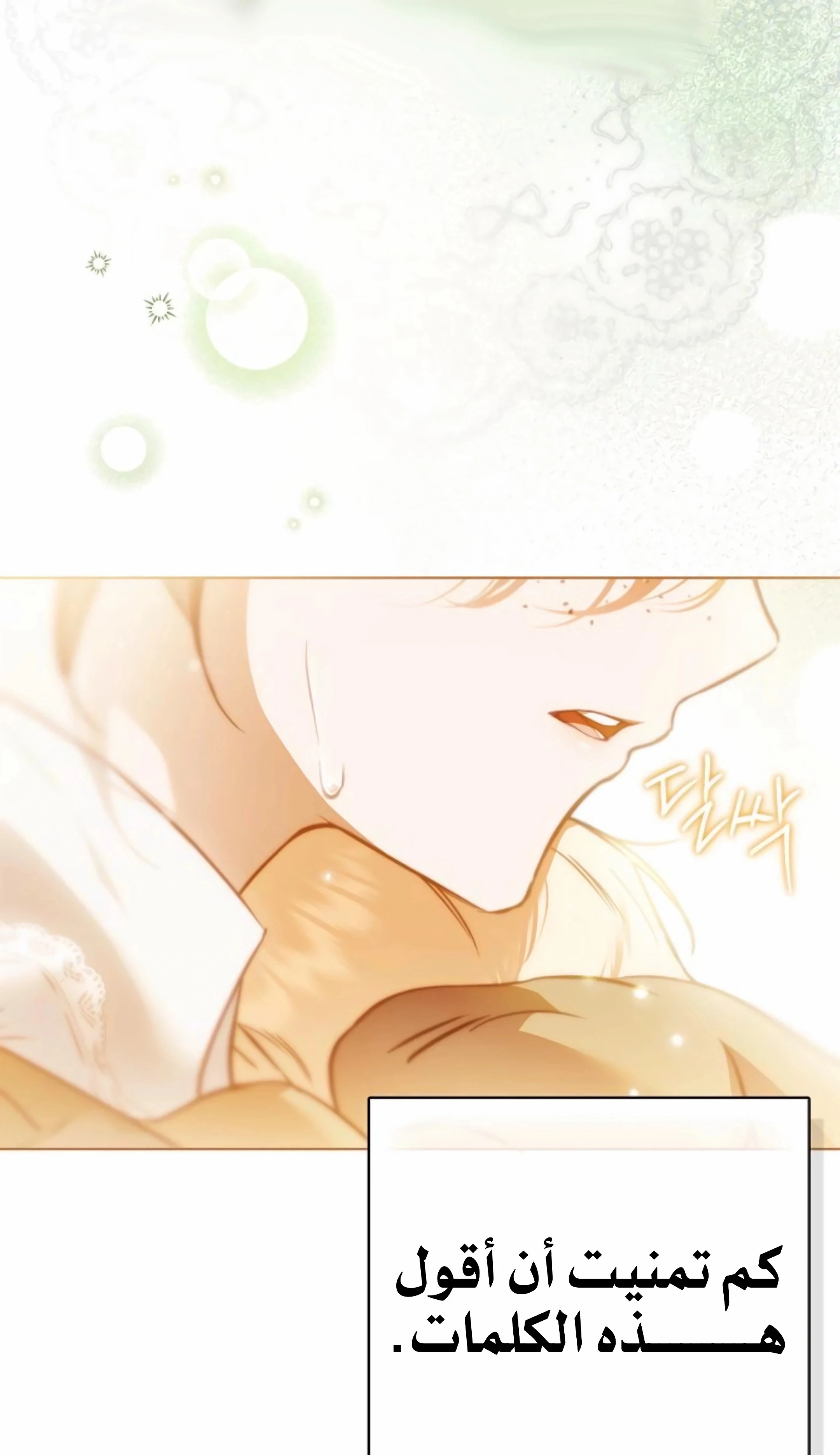 Read The Count's Secret Maid AR Manga Online