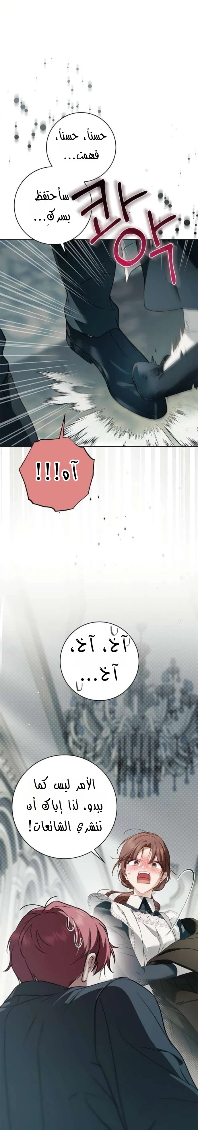 Read The Count's Secret Maid AR Manga Online