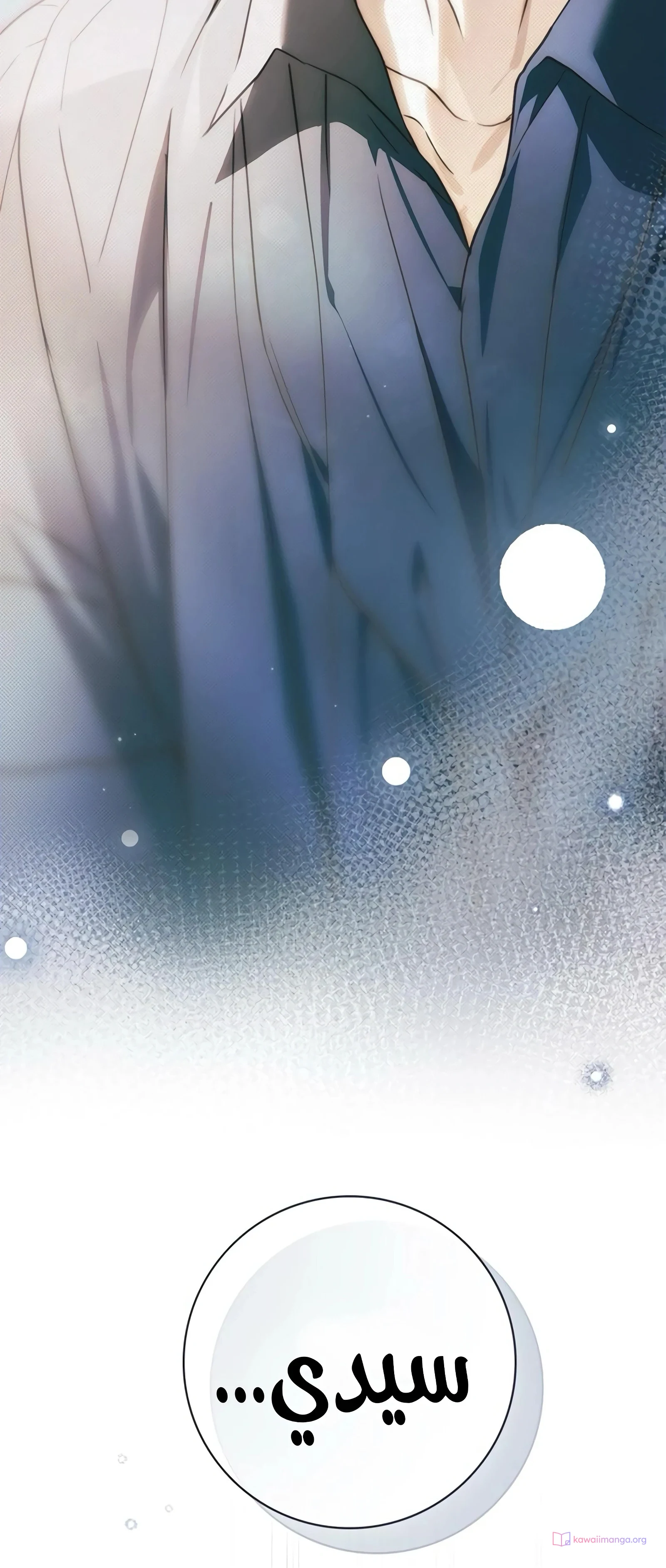 Read The Count's Secret Maid AR Manga Online