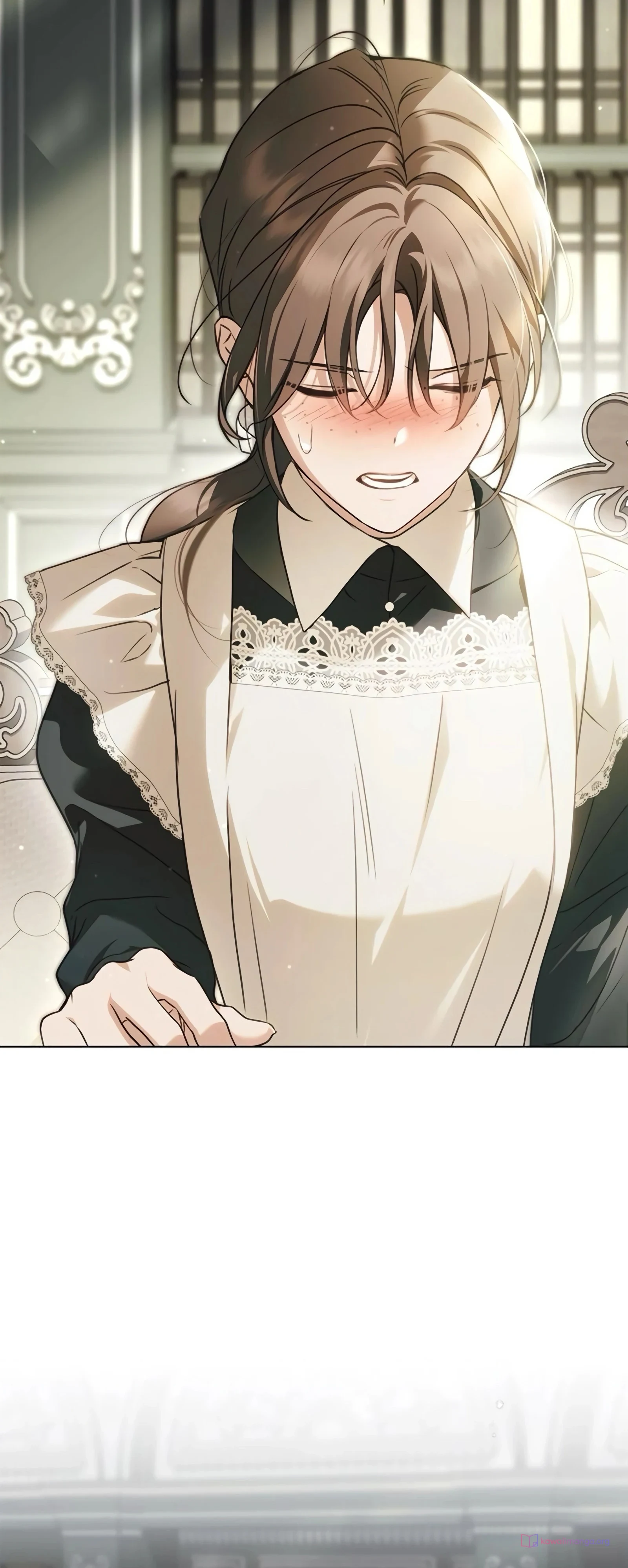 Read The Count's Secret Maid AR Manga Online