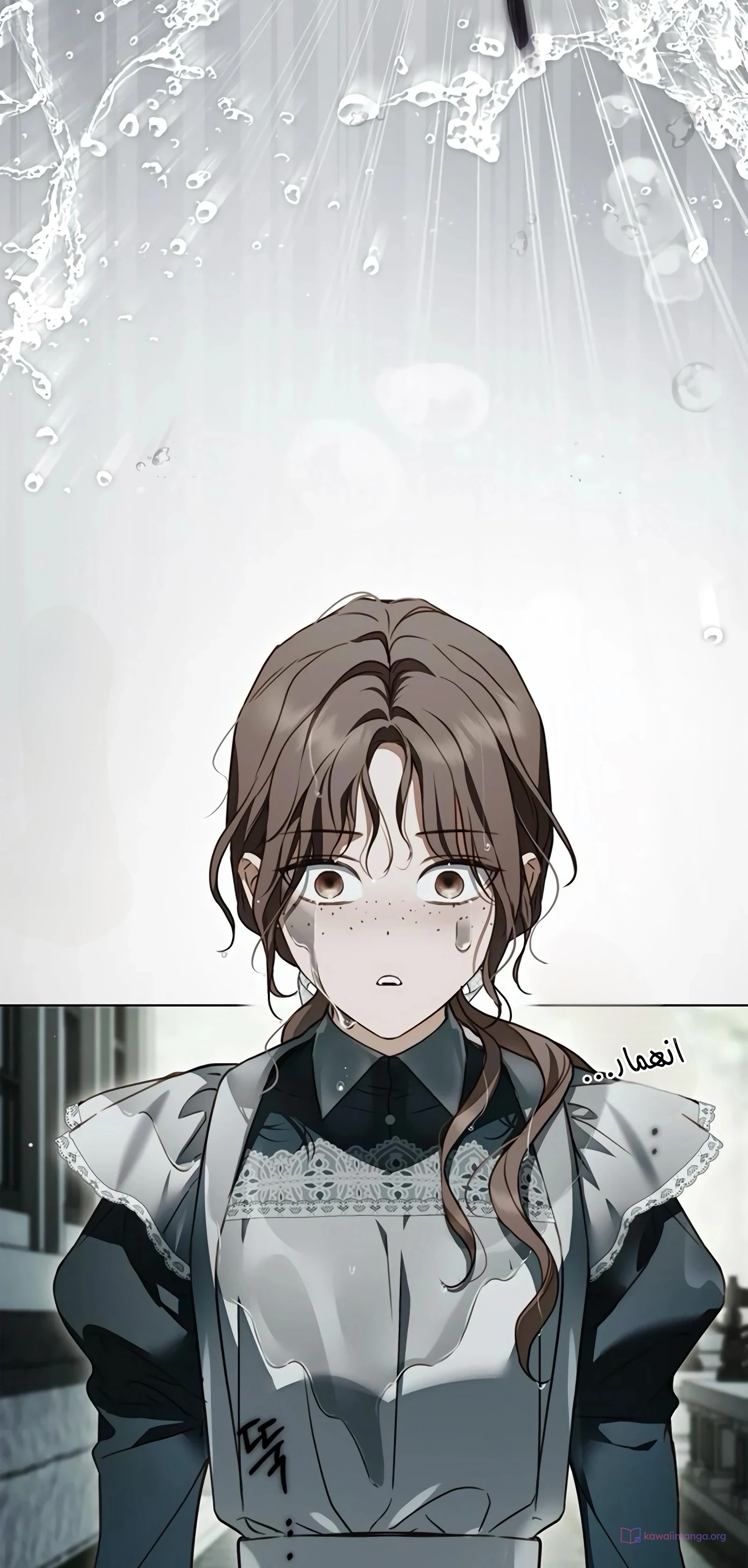 Read The Count's Secret Maid AR Manga Online