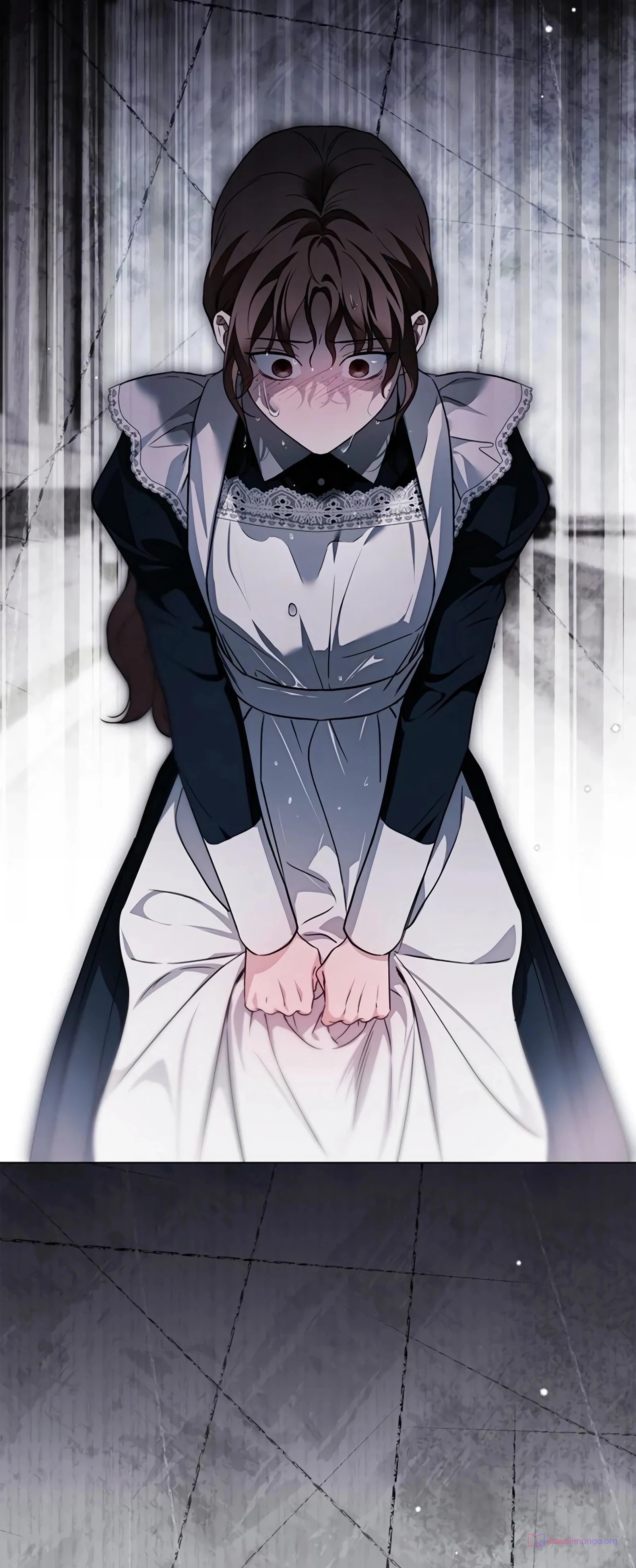 Read The Count's Secret Maid AR Manga Online