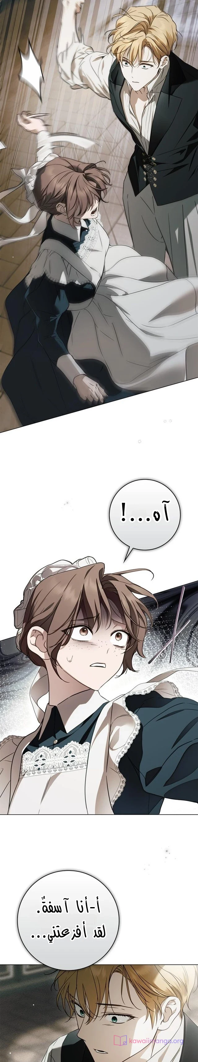 Read The Count's Secret Maid AR Manga Online