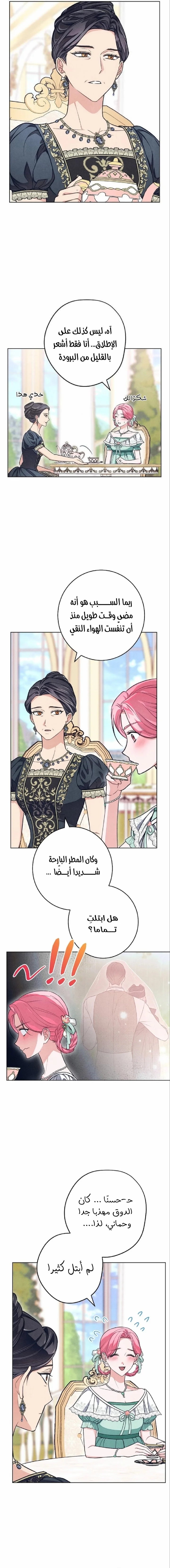Read The Duke’s Obsession with His Wife AR Manga Online