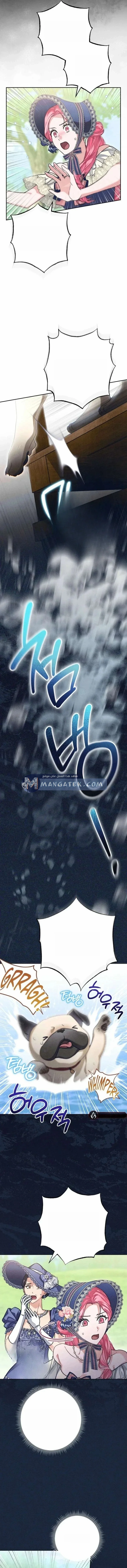 Read The Duke’s Obsession with His Wife AR Manga Online