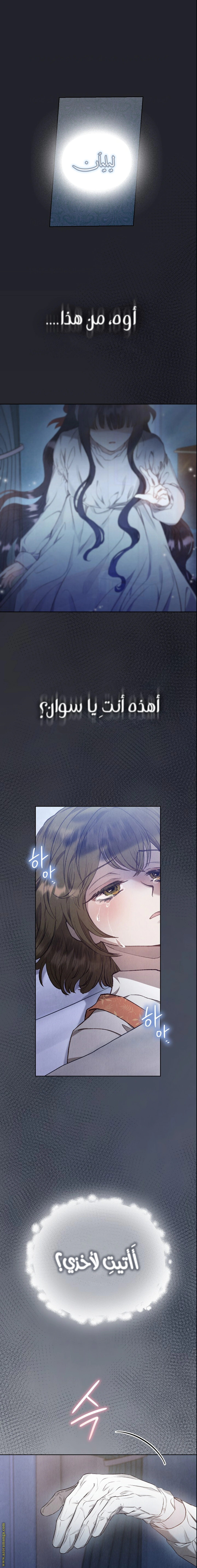 Read The Extra Decided to Be Fake AR Manga Online
