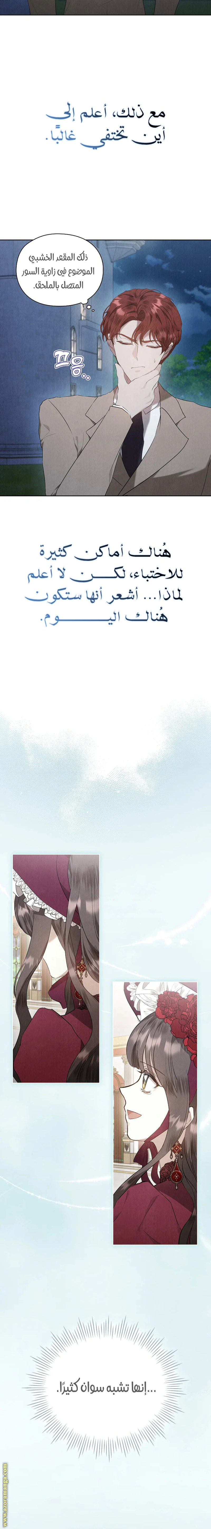 Read The Extra Decided to Be Fake AR Manga Online