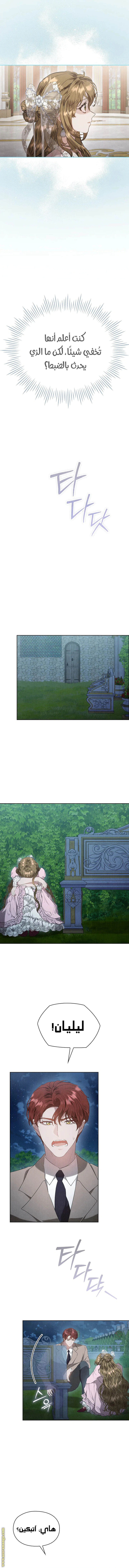 Read The Extra Decided to Be Fake AR Manga Online