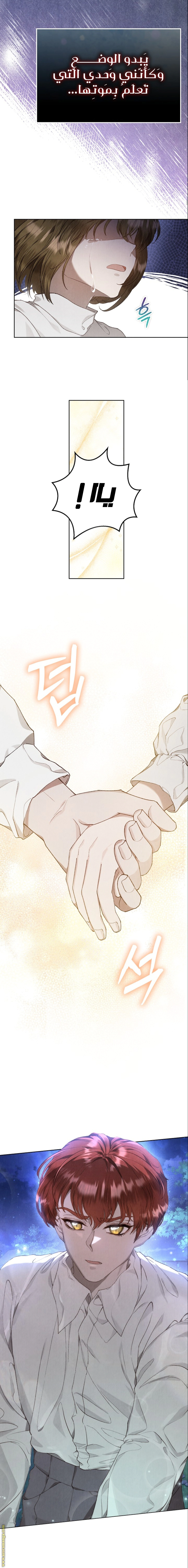 Read The Extra Decided to Be Fake AR Manga Online